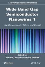 Wide Band Gap Semiconductor Nanowires for Optical Devices – Low–Dimensionality Related Effects and Growth