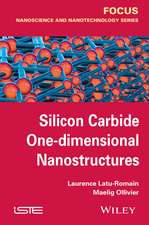 Silicon Carbide One–dimensional Nanostructures