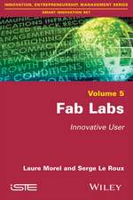 Fab Labs – Innovative User