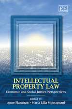 Intellectual Property Law – Economic and Social Justice Perspectives