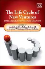 The Life Cycle of New Ventures – Emergence, Newness and Growth