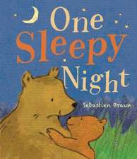 Little Tiger Press: One Sleepy Night