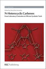 N-Heterocyclic Carbenes: From Laboratory Curiosities to Efficient Synthetic Tools