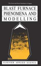 Blast Furnace Phenomena and Modelling