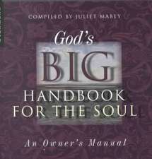 God's Big Handbook for the Soul: An Owners Manual