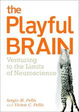 The Playful Brain