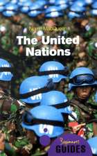 The United Nations: A Beginner's Guide