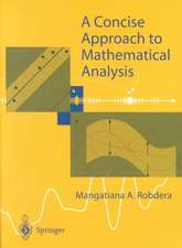 A Concise Approach to Mathematical Analysis