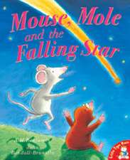 Mouse, Mole and the Falling Star