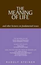 Steiner, R: Meaning of Life and Other Lectures on Fundamenta
