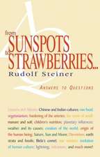 From Sunspots to Strawberries . . .: Answers to Questions