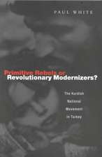 Primitive Rebels or Revolutionary Modernizers: The Kurdish Nationalist Movement in Turkey