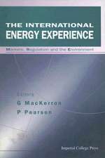 The International Energy Experience