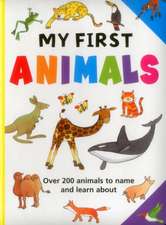 Armadillo: My First Animals