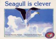 Seagull is Clever PM Yellow Set 3 Fiction Level 8