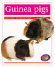 Guinea Pigs PM Non Fiction Amimal Facts Level 14&15 Pets Orange