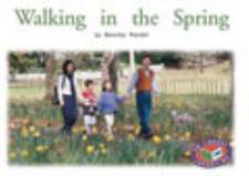 Walking in the Spring PM Non Fiction Level14&15 Time and Season Green