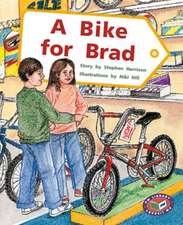 A Bike for Brad PM Level 19&20 Set B Purple