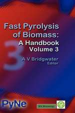 Fast Pyrolysis of Biomass: A Handbook Volume 3