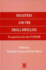 Disasters and the Small Dwelling: Perspectives for the UN IDNDR