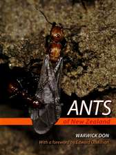 Ants of New Zealand