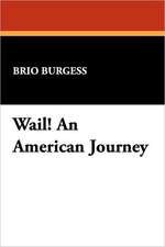 Wail! an American Journey: An Encyclopaedic Dictionary of Ethnic Bias in the United States