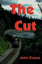 The Cut: Practical Hints on How to Avoid Mistakes in Design and Interpretation