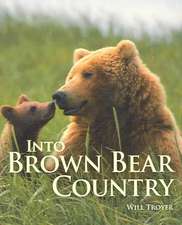 Into Brown Bear Country