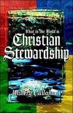 What in the World Is Christian Stewardship