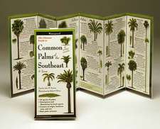 The Ultimate Guide to Common Palms of the Southeast & Texas