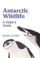 Antarctic Wildlife – A Visitor`s Guide