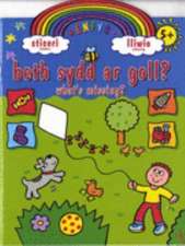 Beth Sydd Ar Goll?