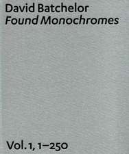 David Batchelor: Found Monochromes