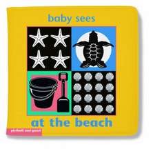 Baby Sees on the Beach