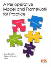 A Perioperative Model and Framework for Practice