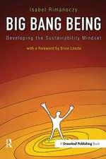 Big Bang Being: Developing the Sustainability Mindset