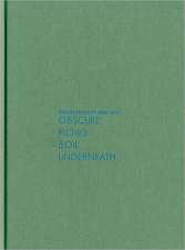 Dennis McNulty: Obscure Flows Boil Underneath, 2004-2011