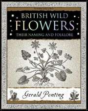 British Wild Flowers