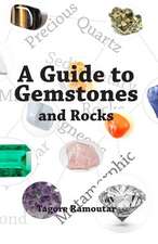 A Guide to Gemstones and Rocks: (Boys)