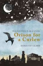 Orison for a Curlew: In Search for a Bird on the Edge of Extinction