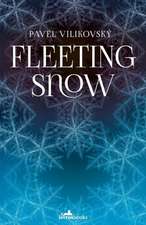 Fleeting Snow