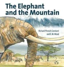 The Elephant and the Mountain