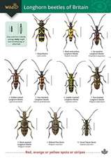 Guide to longhorn beetles of Britain