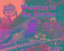 Welcome to the Garden