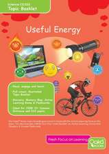 USEFUL ENERGY