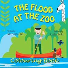 The Flood at the Zoo Colouring Book