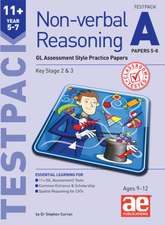 11+ Non-verbal Reasoning Year 5-7 Testpack A Papers 5-8