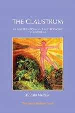 The Claustrum