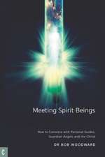 Meeting Spirit Beings