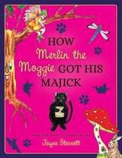 How Merlin the Moggie got his Majick